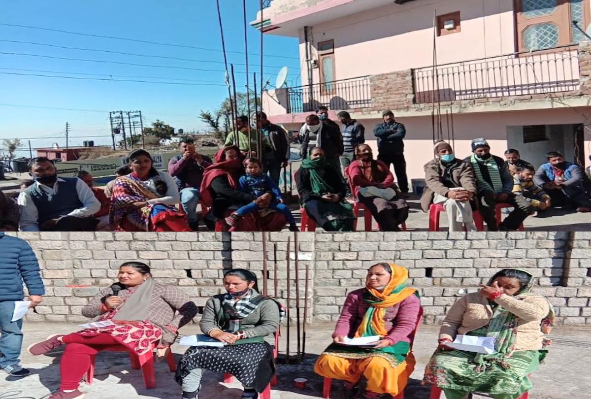 Panchayat Election news himachal: seven sharp questions asked from each candidates in sirmour