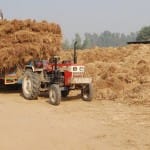 कैथल में लगे पराली के ढेर।