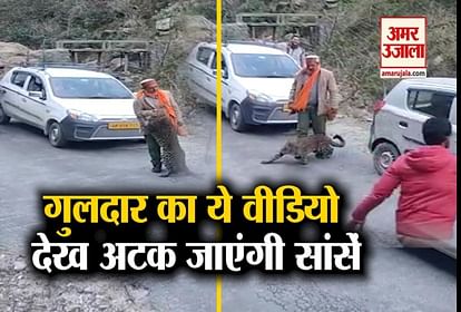 guldar viral video in himachal pradesh