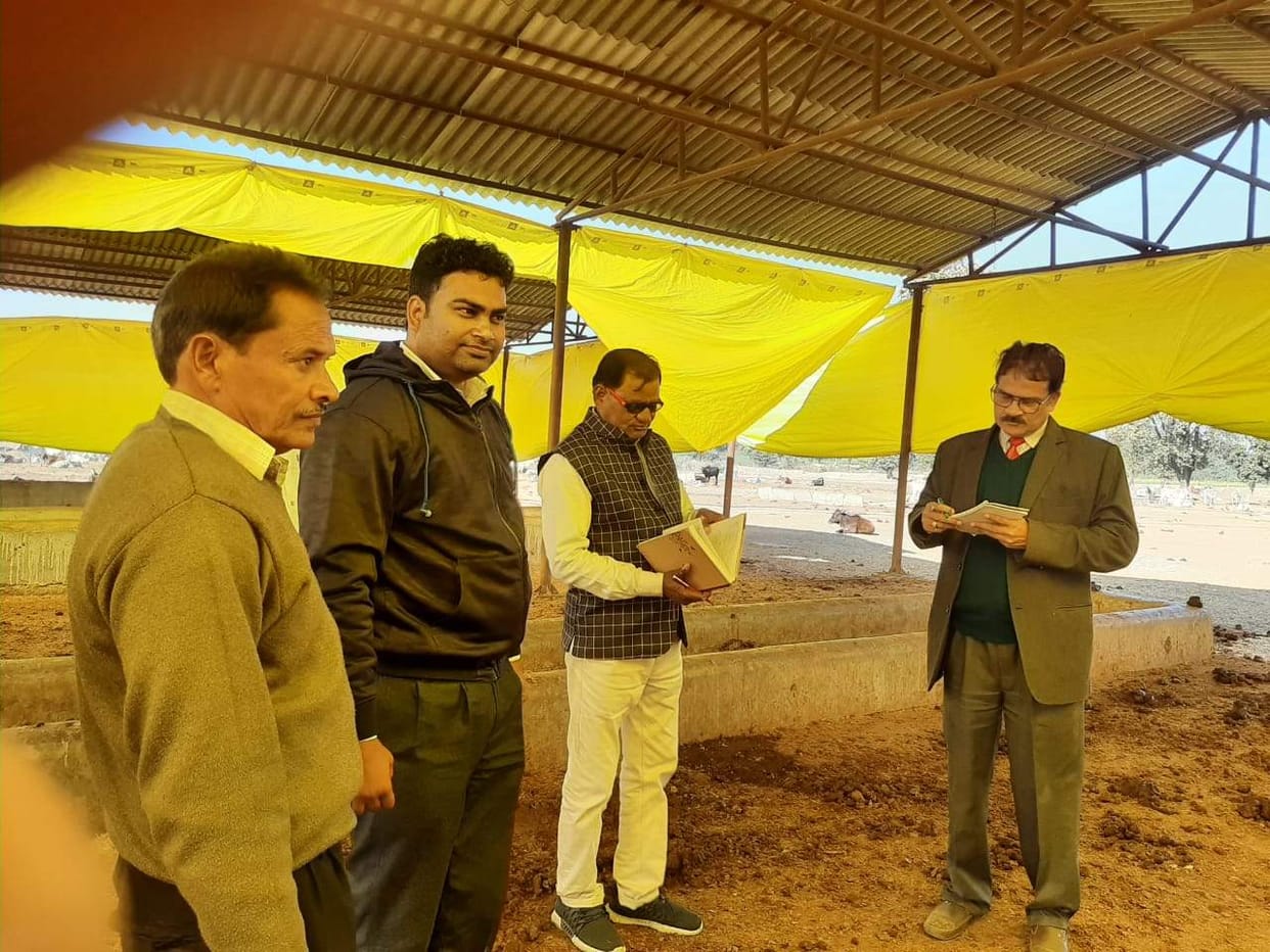 nodel officer inspected cow shelter