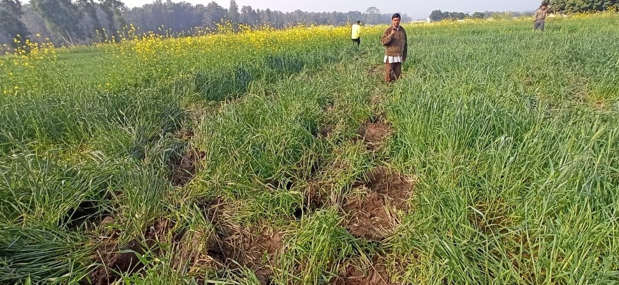 Crop damage in Tanakpur