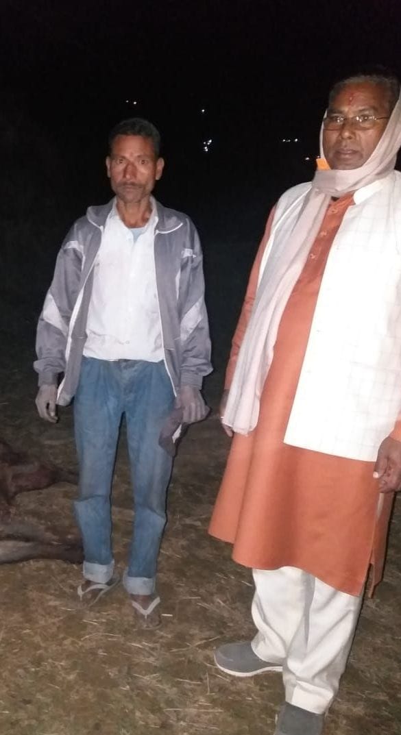 When the pig killed the woman, the villager killed the pig