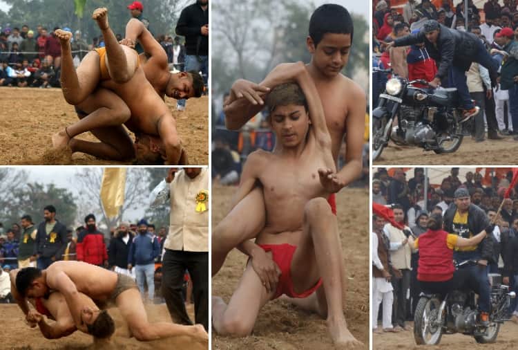 Dangal organized in a village in Chandigarh on Makar Sankranti