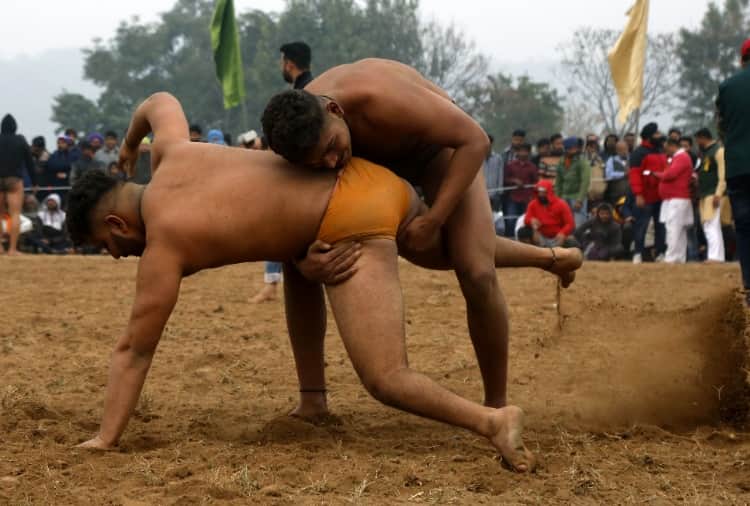 Dangal organized in a village in Chandigarh on Makar Sankranti
