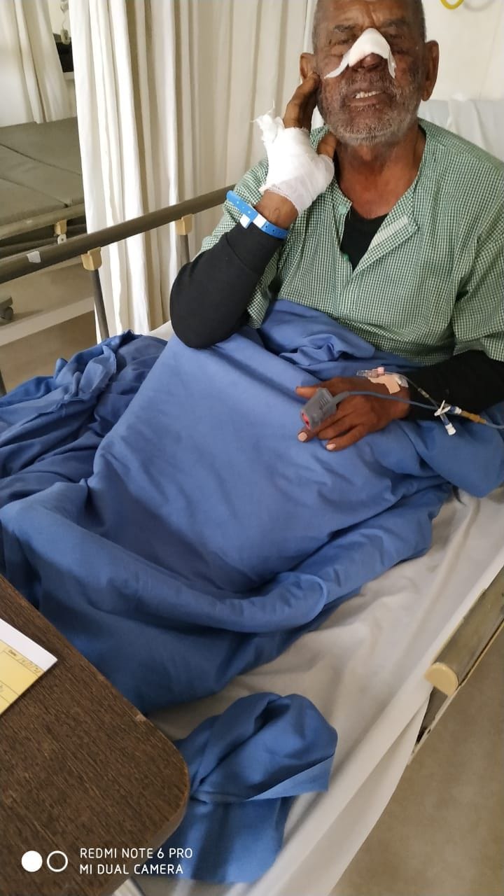 Many people, including woman injured, panic in wild animal attack