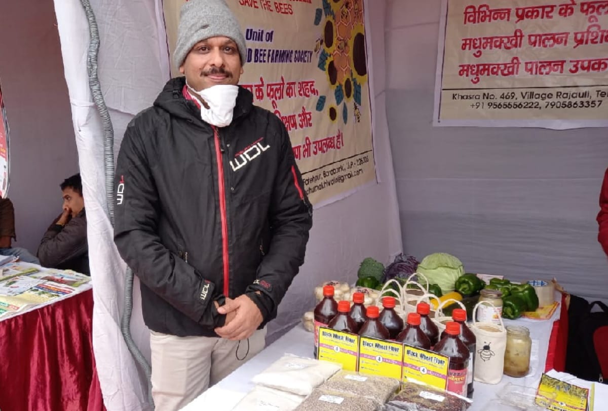 professional doctor farming Black wheat in Gorakhpur