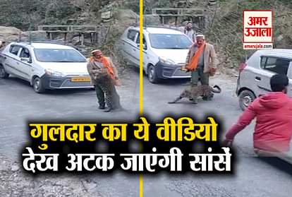 guldar viral video in himachal pradesh