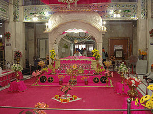 lohdi celebrated