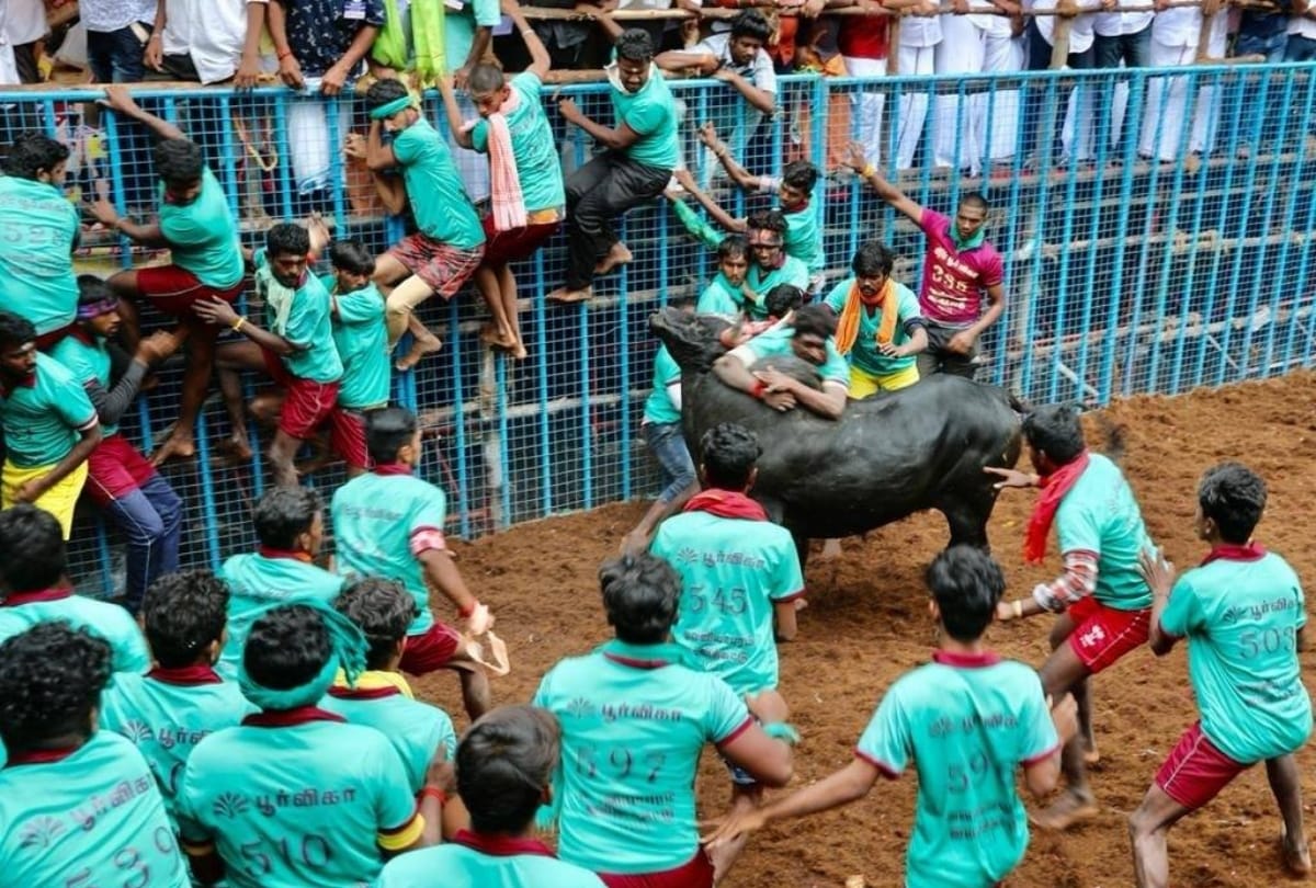 Tamil Nadu government issues an order to withdraw 308 cases registered in connection with the Jallikattu protests in 2017
