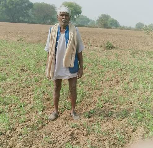 Nilgai mowed 17 bigha crops