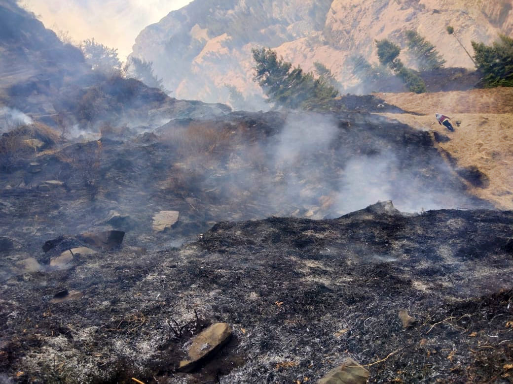 Fire damage to 30 hectares of forest property in Dugilag Beet