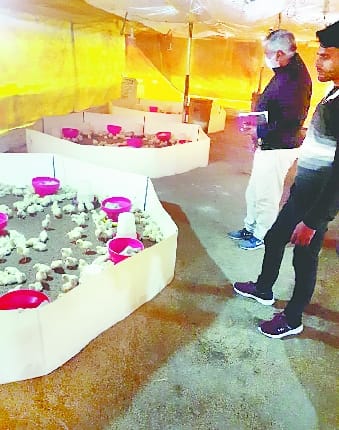 CARI increased vigilance, hands to be washed before going to bird shed