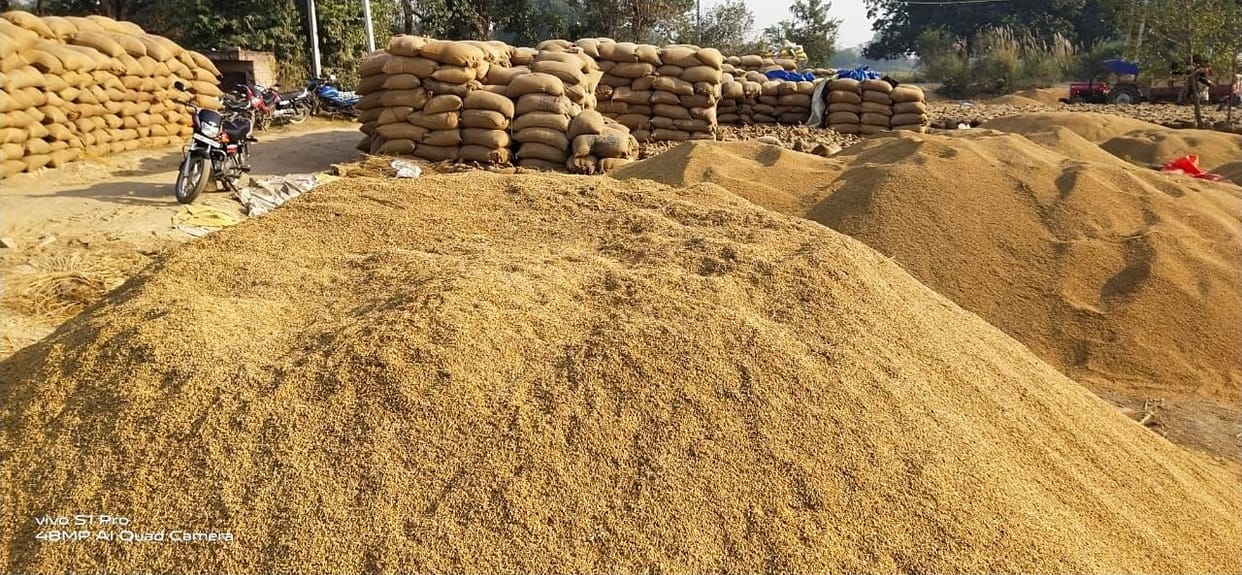 97.60 crores of paddy farmers trapped, 16 purchasing centers banned
