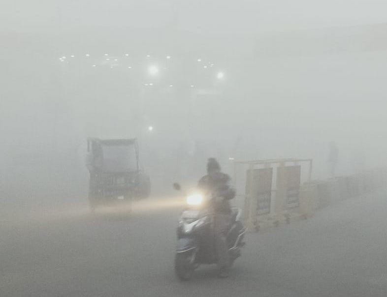 Shady dense fog, 3 degree temperature