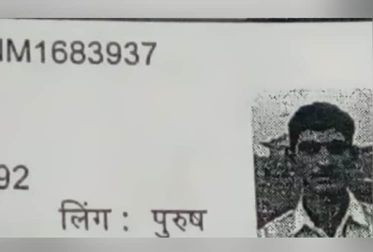 Haryana Crime News:  Brother murdered younger brother in Haryana