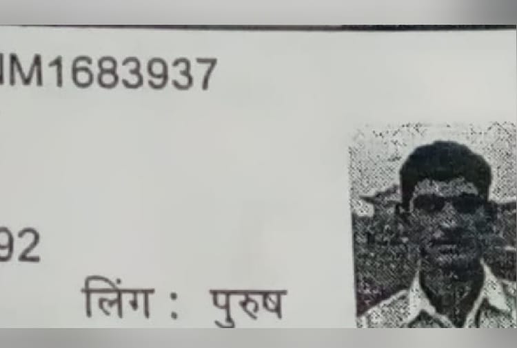 Haryana Crime News:  Brother murdered younger brother in Haryana