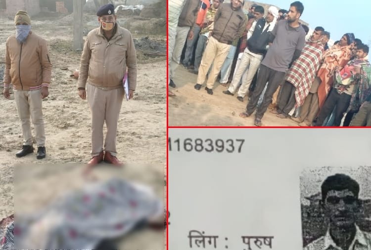 Haryana Crime News:  Brother murdered younger brother in Haryana