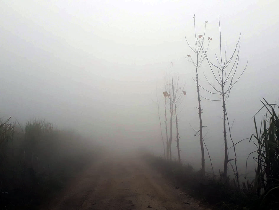 weather