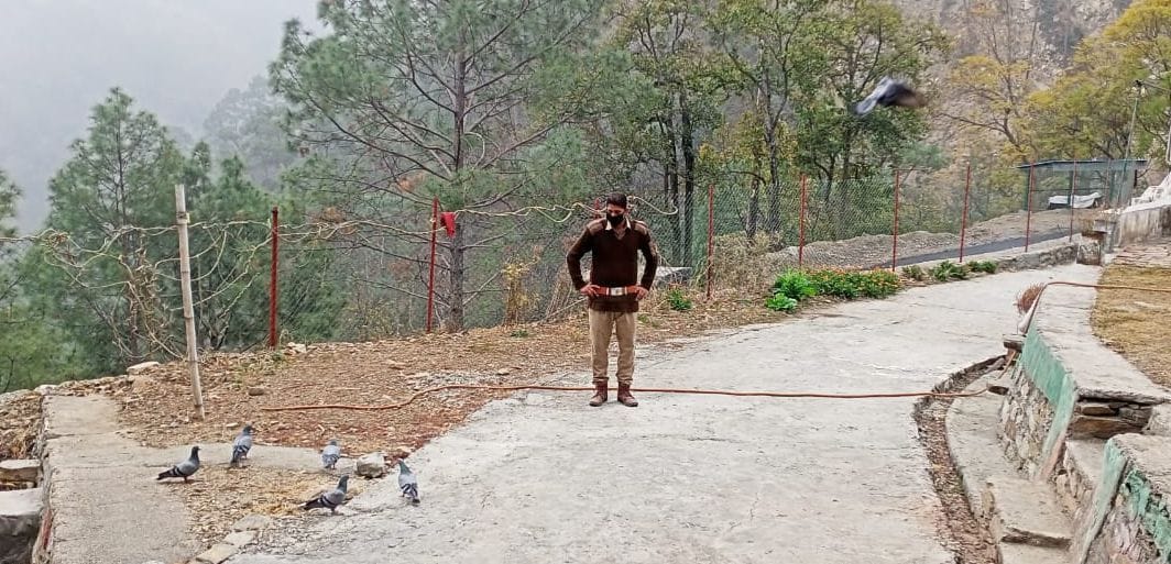 Bird flu Alert in Champawat