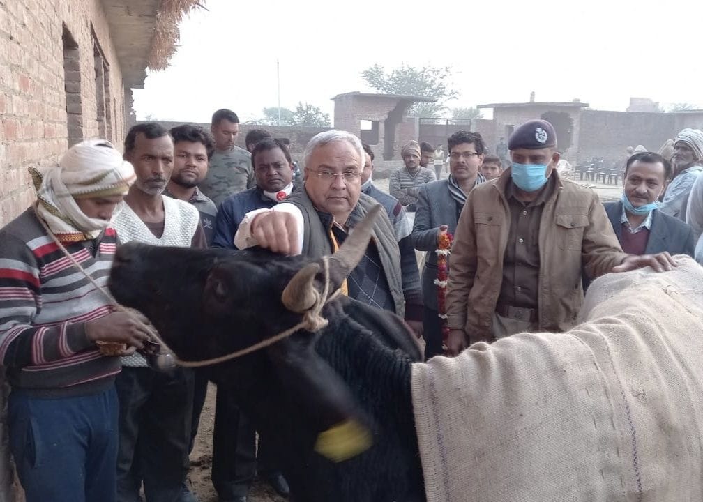 cow center,cow center firozabad,cow center UP