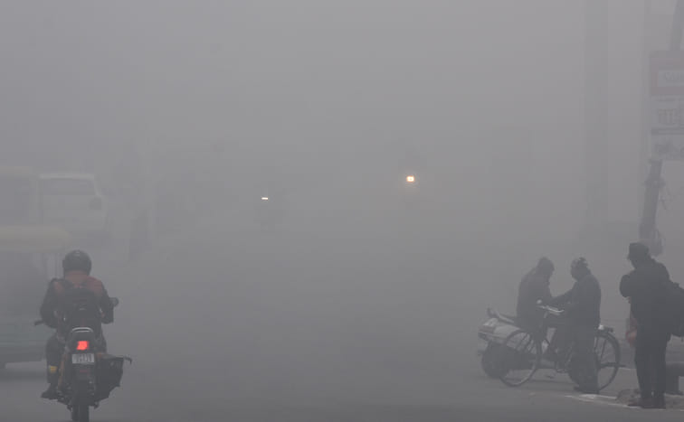 Cold wave fires city-countryside under heavy fog