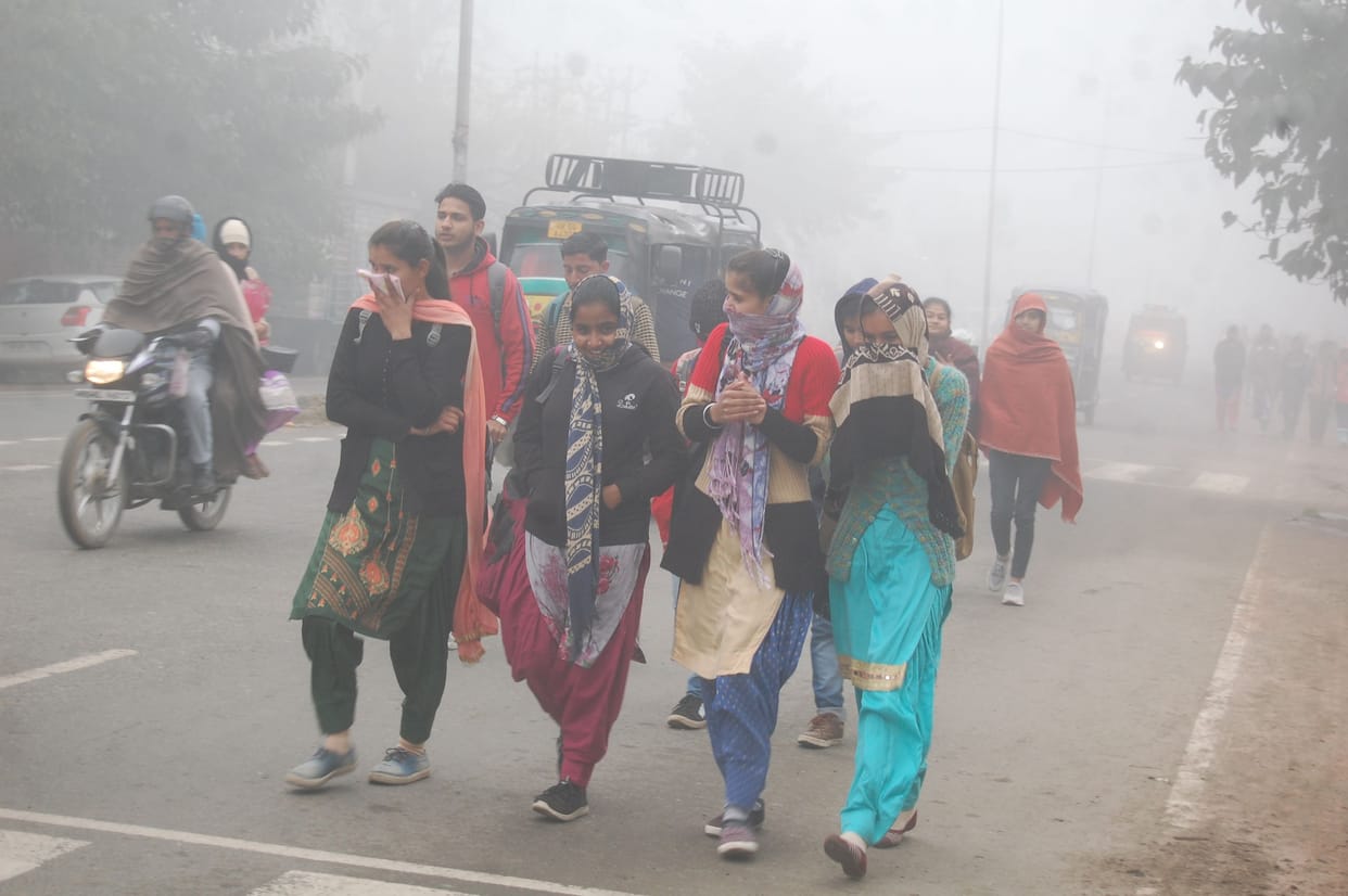 cold wave has increased cold