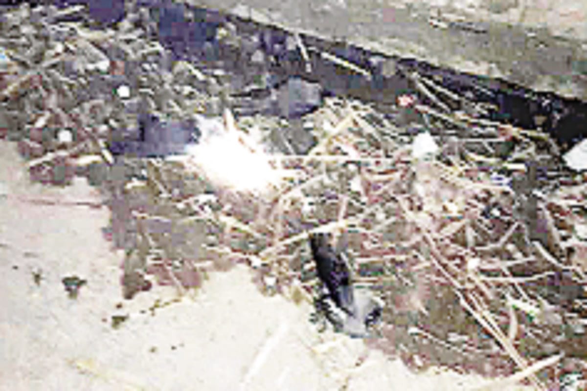 Bird flu confirmed in crows in Muzaffarnagar of Uttar Pradesh