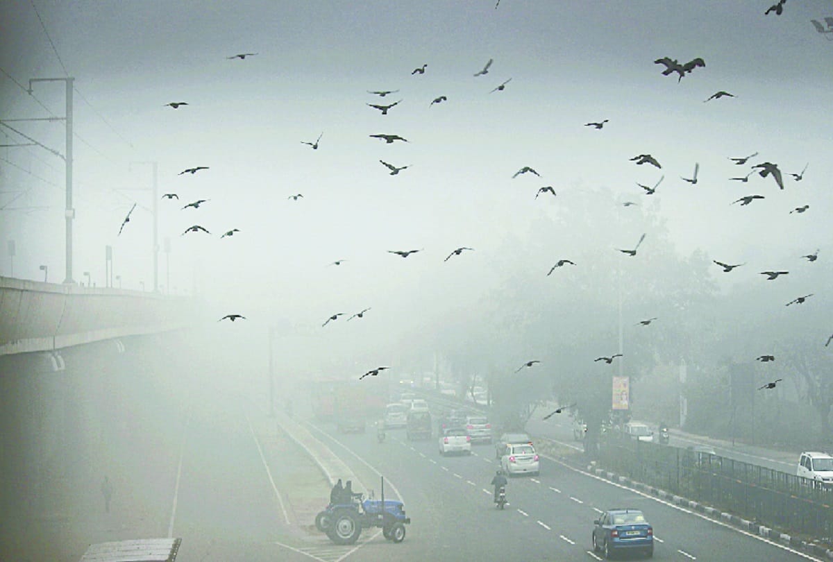 Delhi news: Fog havoc in Delhi-NCR 80 flights canceled trains halted