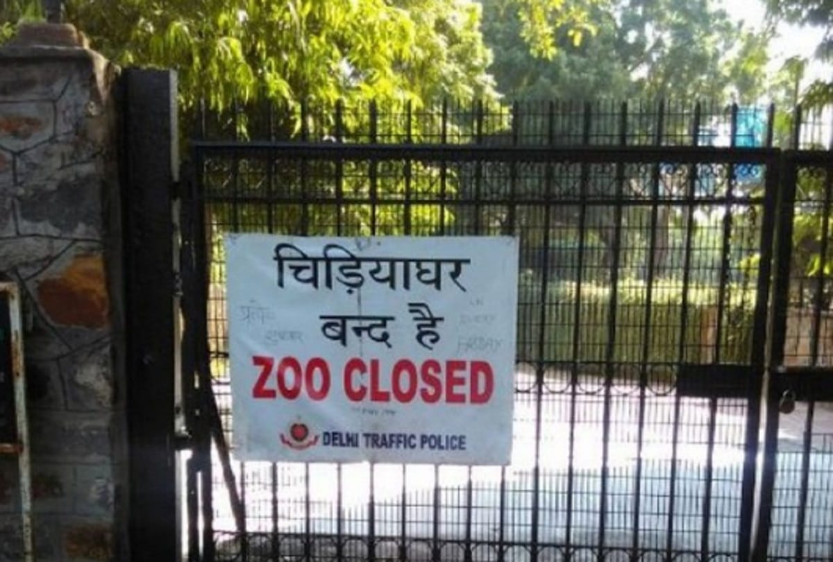 Bird flu confirmed in delhi zoo, dead owl found positive