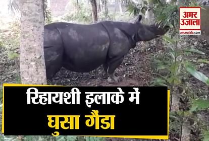 WATCH RHINO ENTERS RESIDENTIAL AREA OF ASSAM’S NAGAON