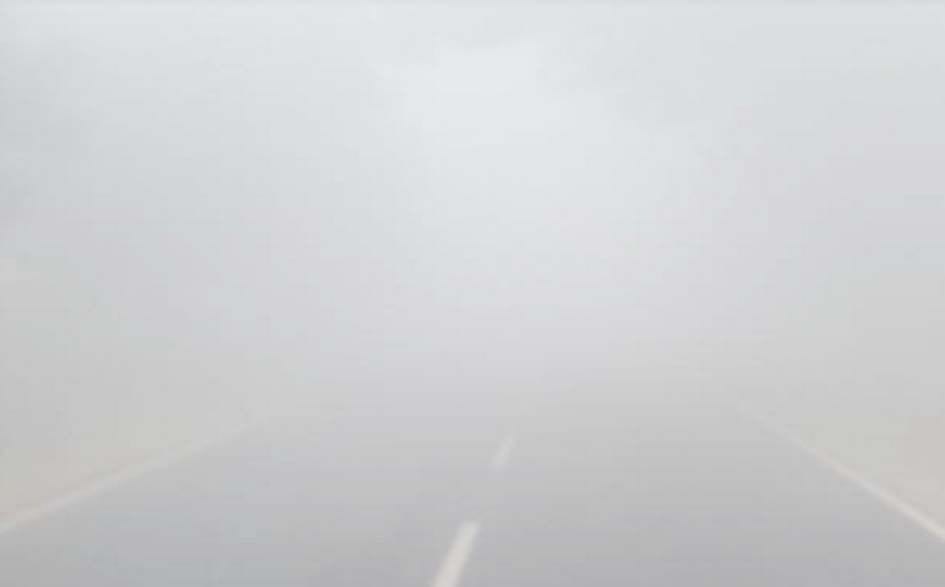 fog,winter