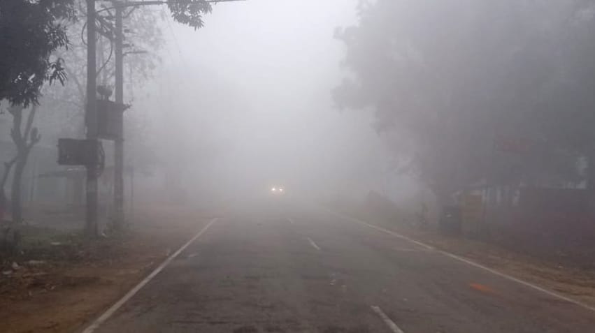 Life is disturbed due to melting cold