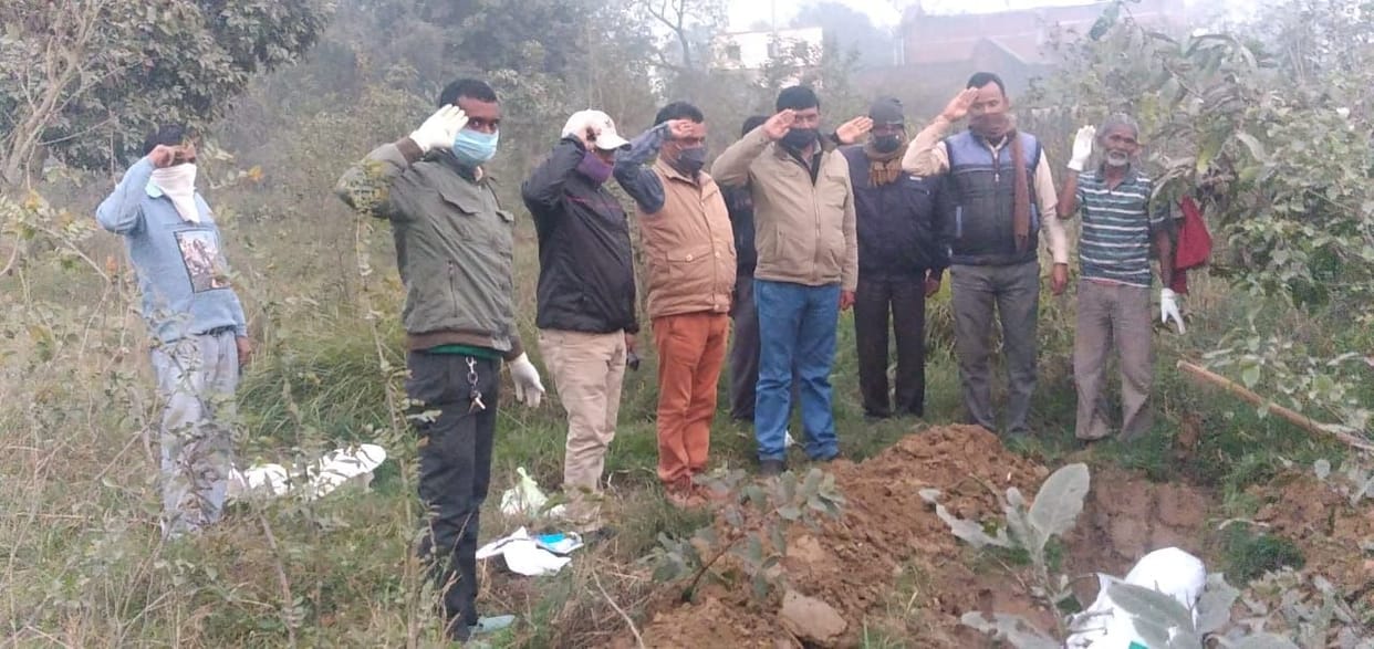 Eight peacocks and two pigeons killed in the colony, samples sent for investigation
