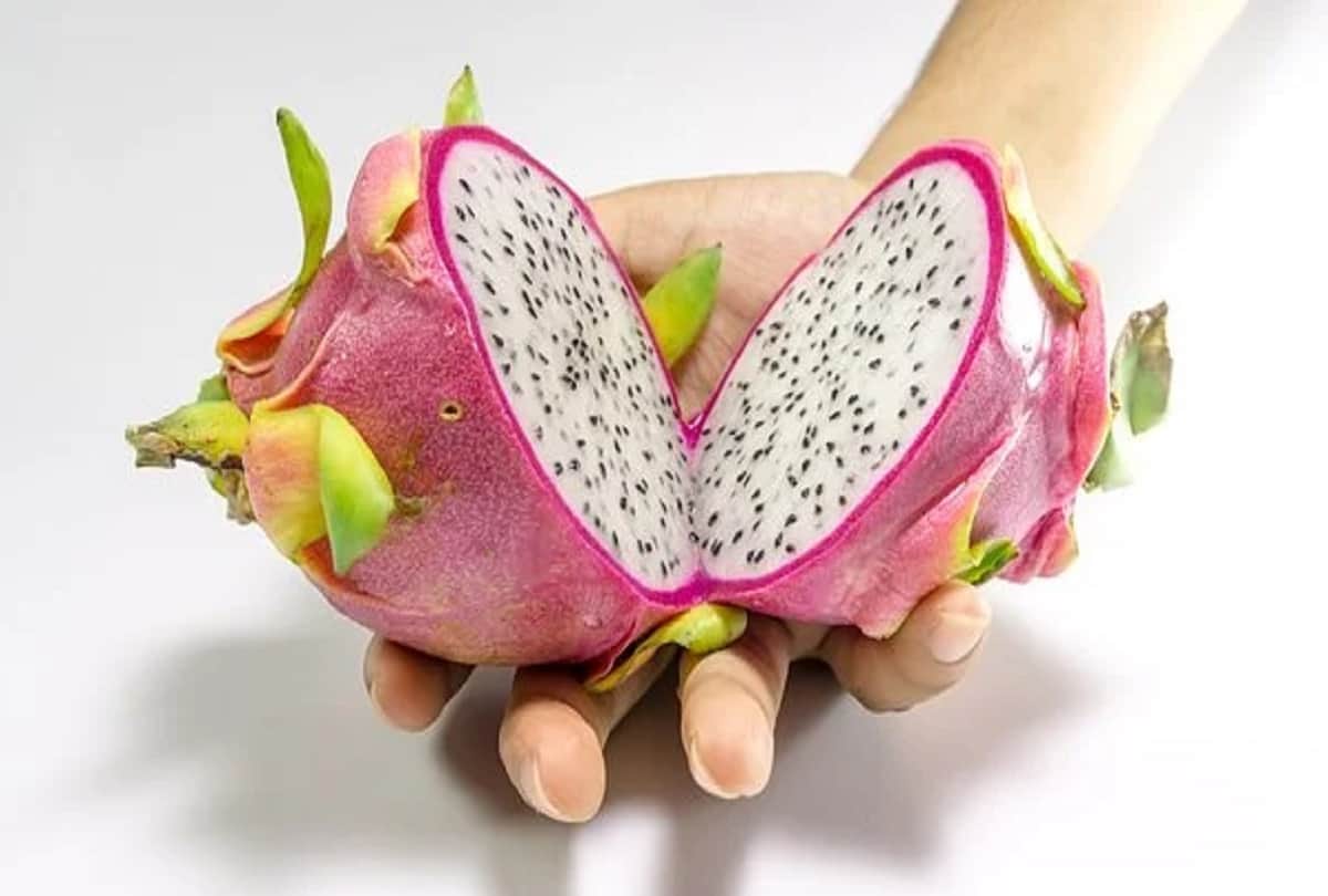 benefits of kamlam which is previously called dragon fruit