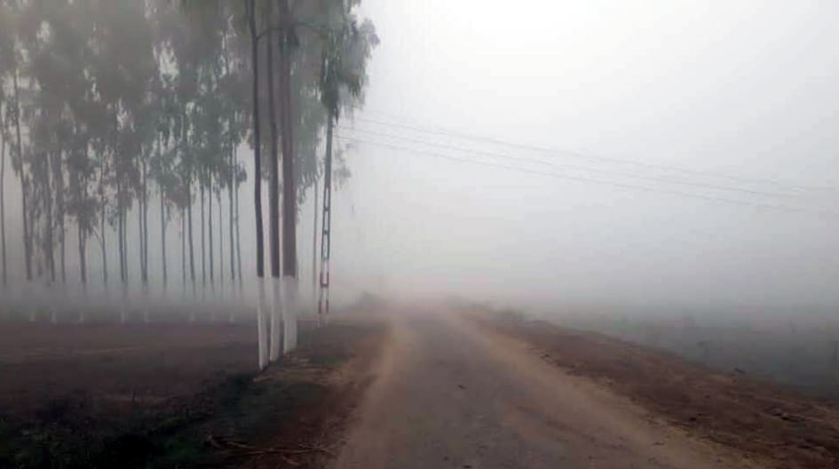 weather
