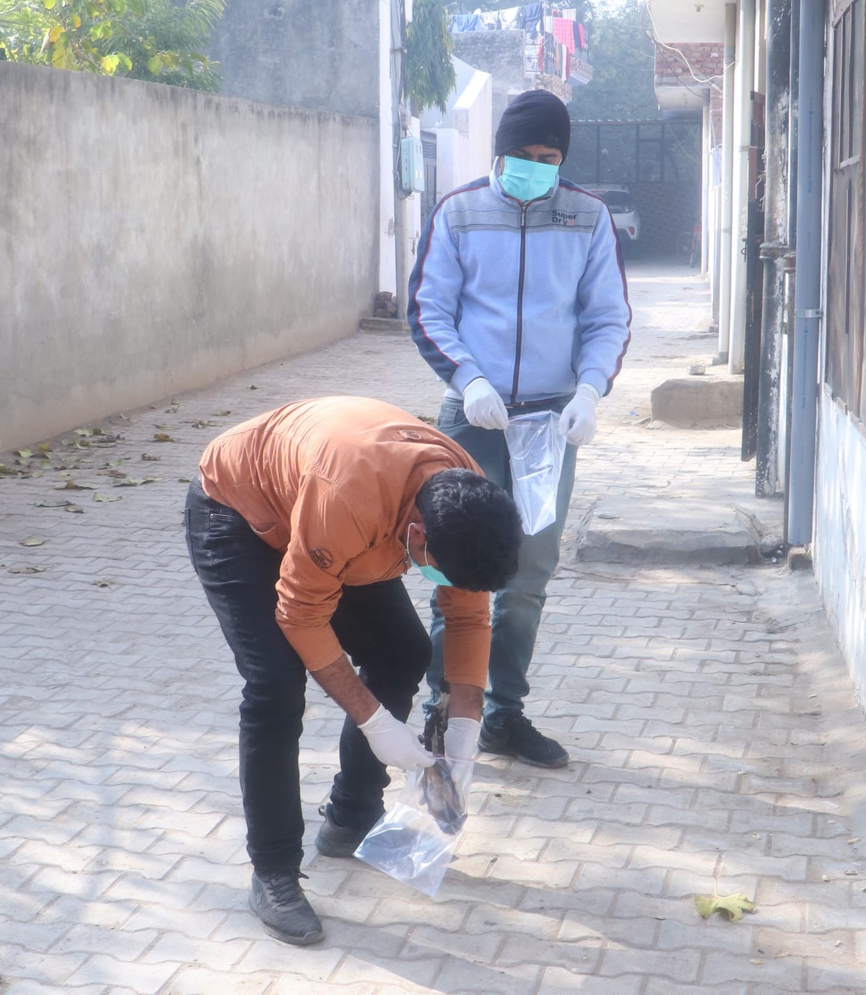 dead bird found, people, sample collect