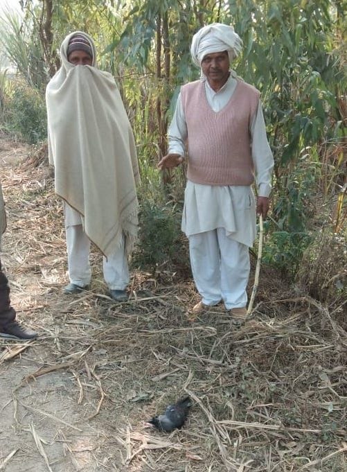 Dead crows found in Kishanpur school, Goela forest