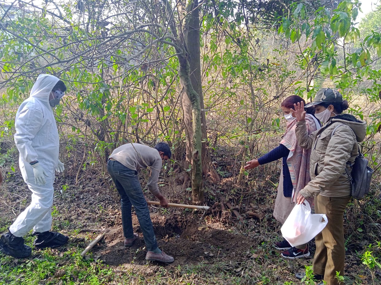 crow found dead in bhota