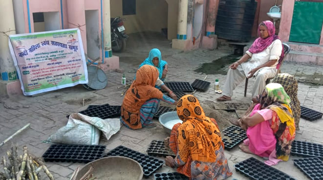 Self-sufficiency: women making profits by preparing sugarcane plants