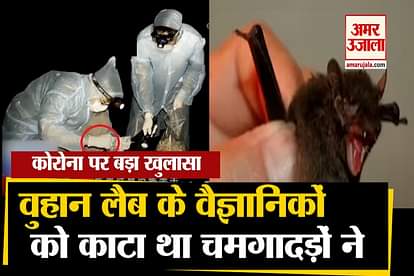 Viral Video Reveals that wuhan lab scientists bitten by bats