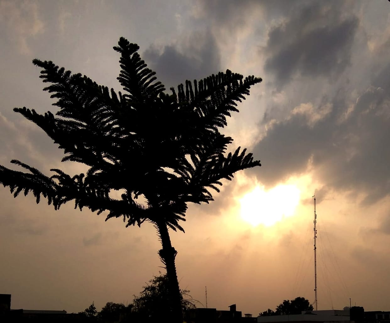 The morning turned out to be sunny, cloudy all day