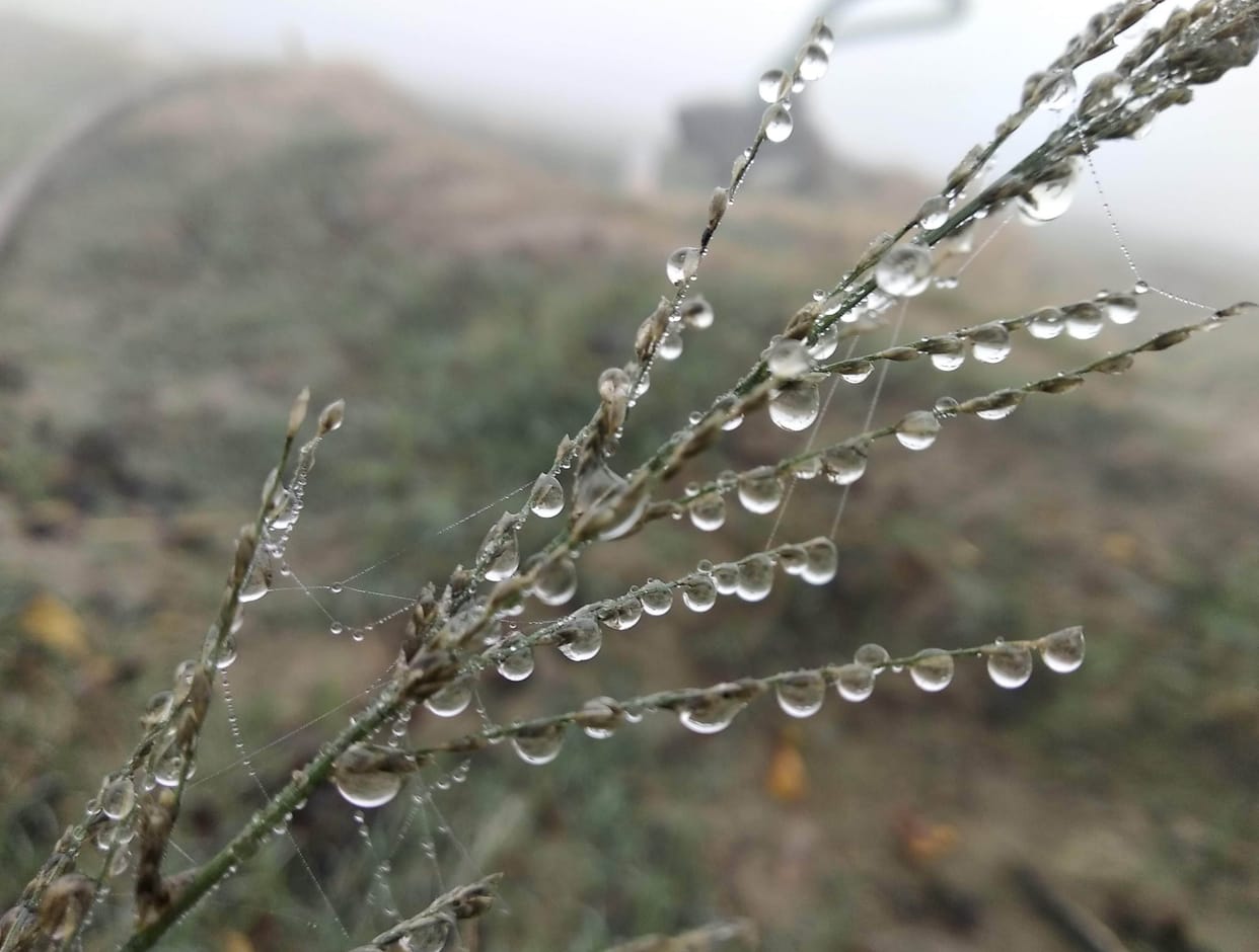 Kasuta Jadda: Cold wave at speed of 18 km