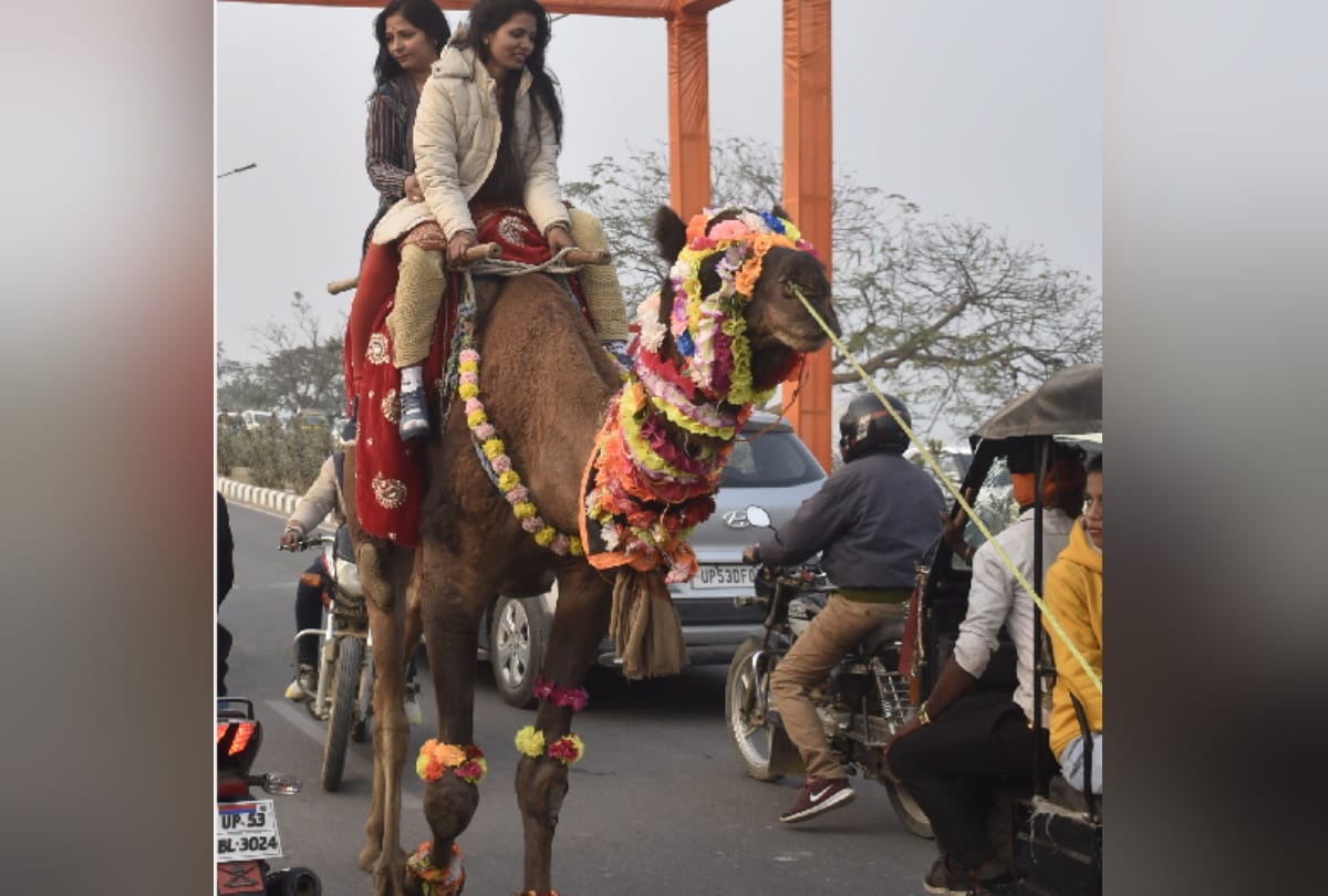 Gorakhpur weather photos after sunshine happiness on faces of people