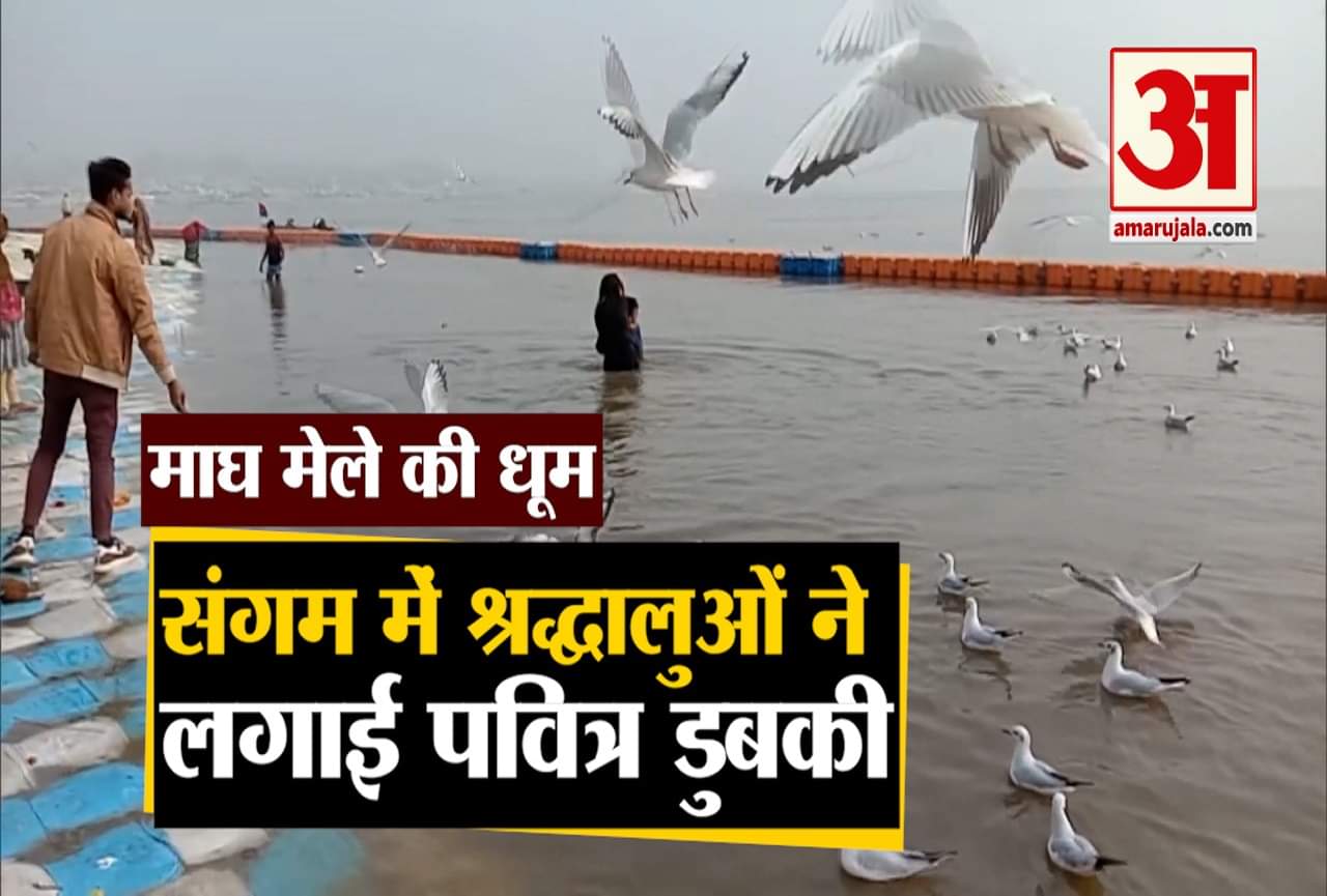 माघ मेला