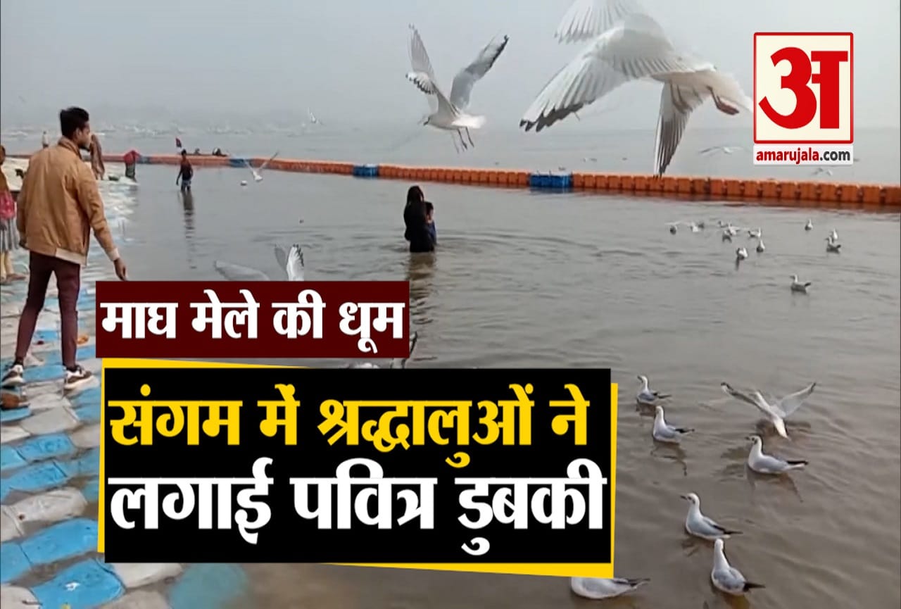 माघ मेला