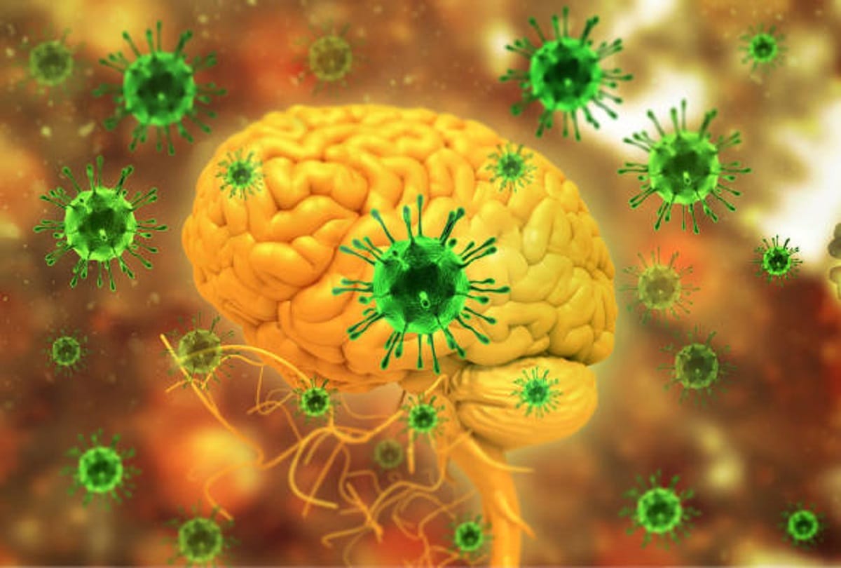 difference between coronavirus and Nipah virus symptoms treatment and vaccine