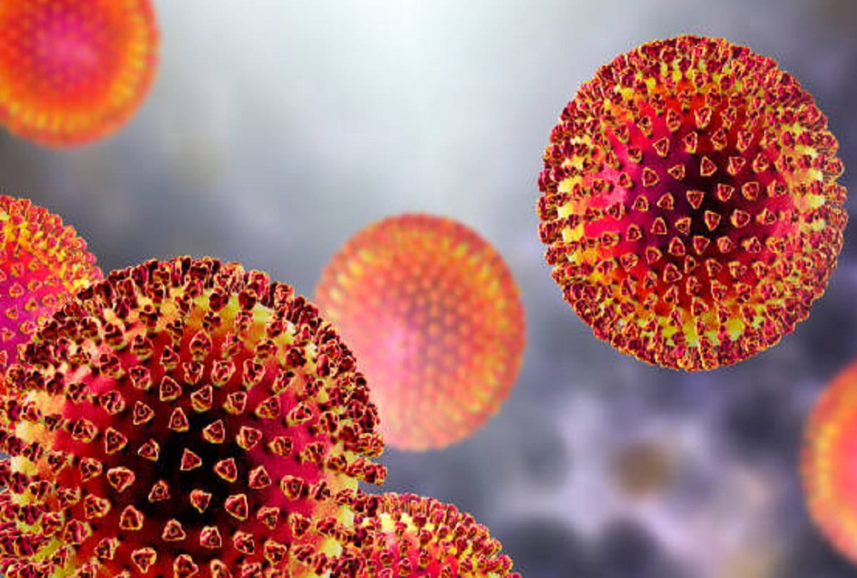 Nipah virus cases in Kerala state health minister veena george information