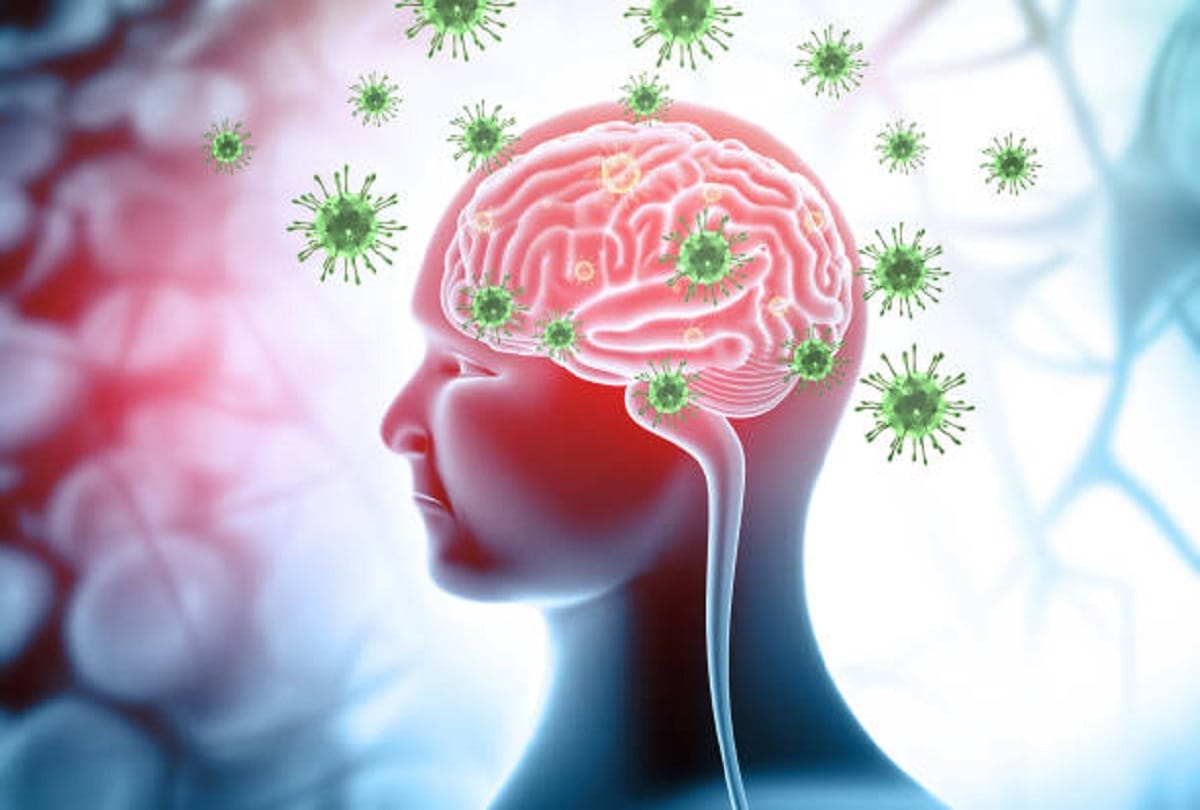 Nipah infection reached to 10 states scientists demanded state governments to pay attention