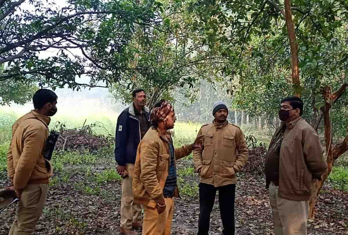 Lover and girlfriend hanged in unnao