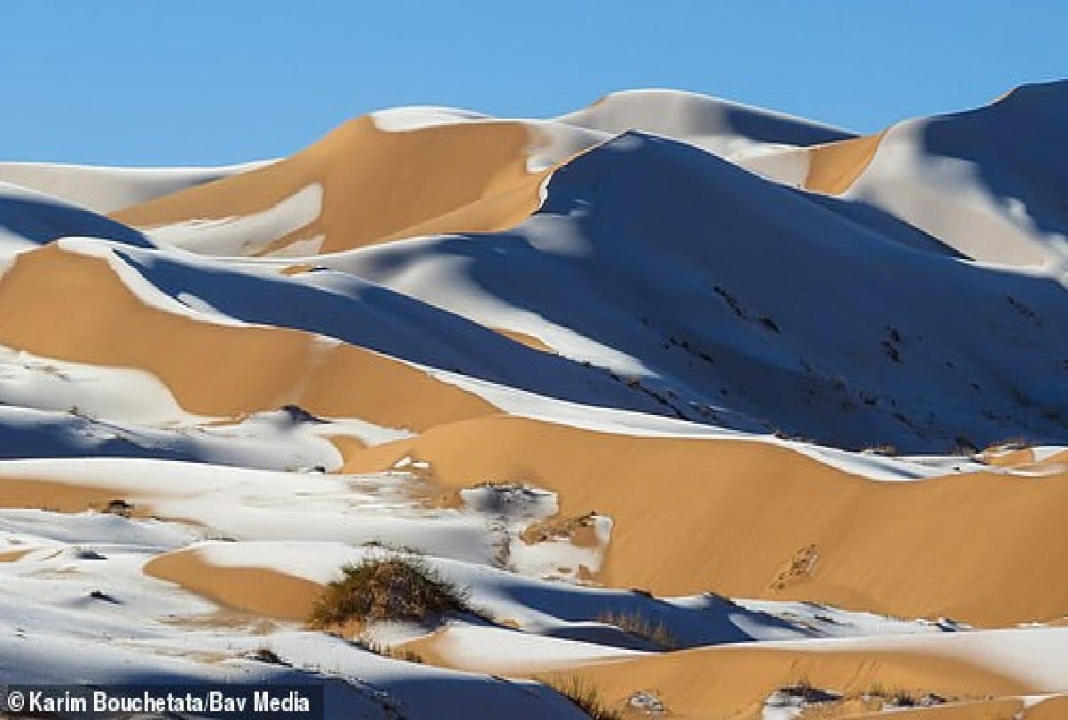 world weather report Ice blankets the Sahara desert while snow falls in Saudi Arabia where temperature has dropped to minus 2C